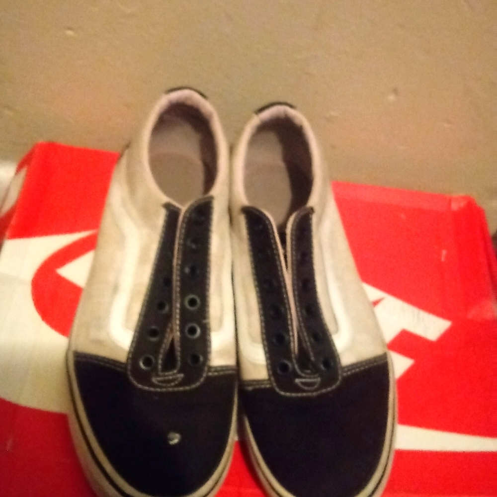 Classic vans